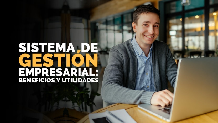 Sistema de gestión empresarial